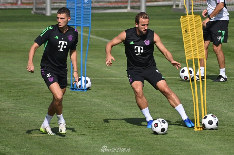 由此可见 由此可见