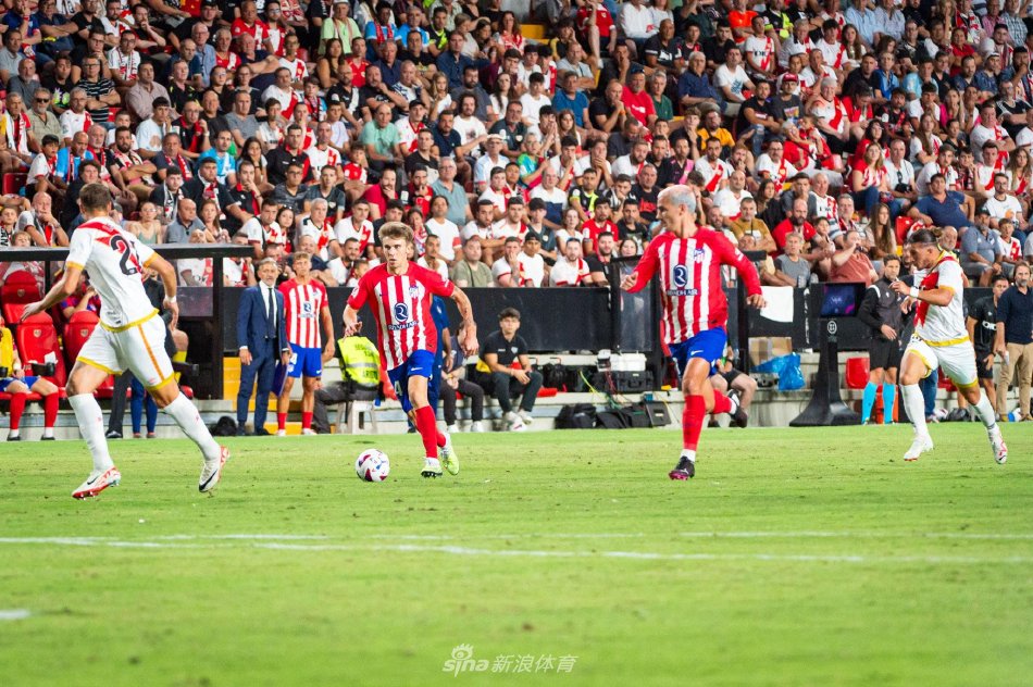 需要强调的 需要强调的