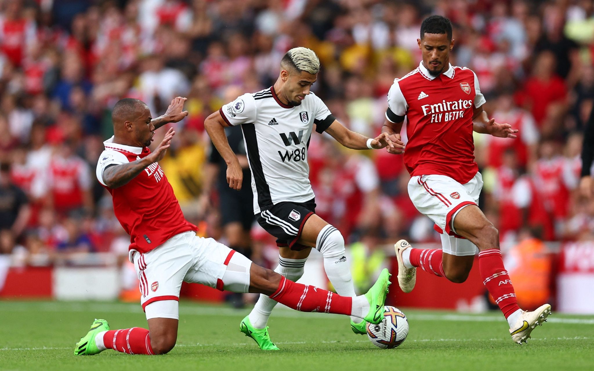 太阳若想追 太阳若想追